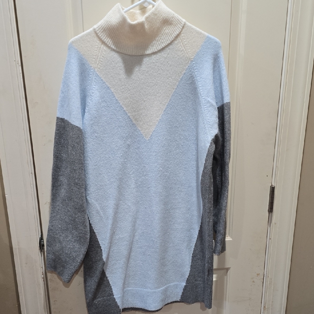 Express Cream and Light Blue Turtleneck Sweater